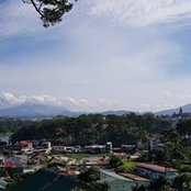 Louis Vuituoi's photo