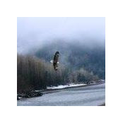 David Lau's photo