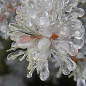 Jocelyn Baker's photo