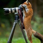 Ruth Rohrer's photo