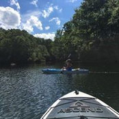 Stacey Furches's photo