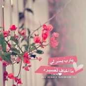 Ibrahim Gaber's photo