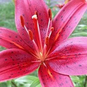 Becky Hines's photo