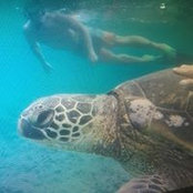 Scott Carson's photo