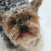 Sue DuBrava's photo