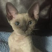 Jennifer Hadson's photo