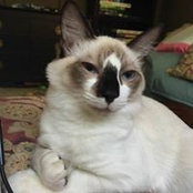 Jenny Knowles Morrison's photo