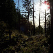 Meghan Bright's photo