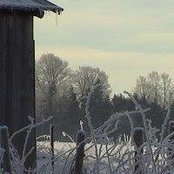 Foto von Renee Cliche