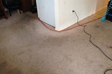 Carpet Before / After