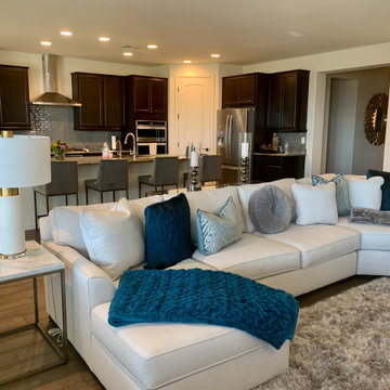 New Home In Alorvita- Peoria, AZ