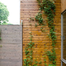 Yard Details - Sidewalk, Planters, Fence, Lighting...