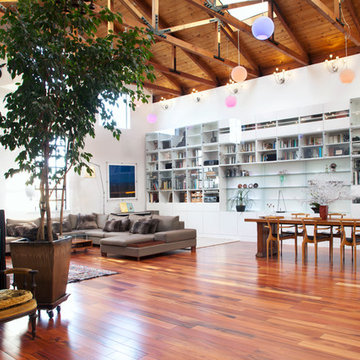 My Houzz: A Big, Empty Box Becomes a Mod Live-Work Space