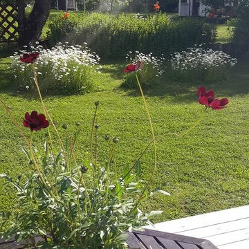 Referensbilder