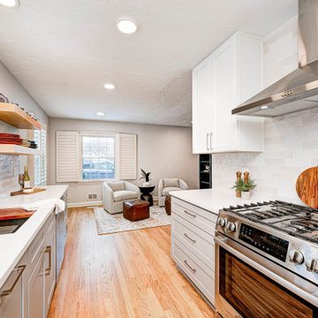 Devonshire Transitional Renovation
