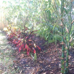 Bamboo installations - Products