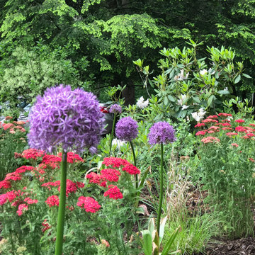 Soft Woodland Sweeps