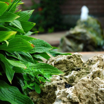 Little and lush front entrance