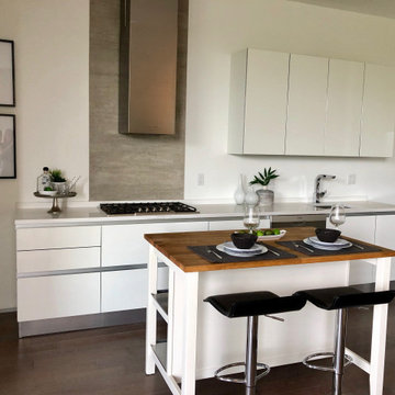 Open Plan Boston Contemporary Gets Defined