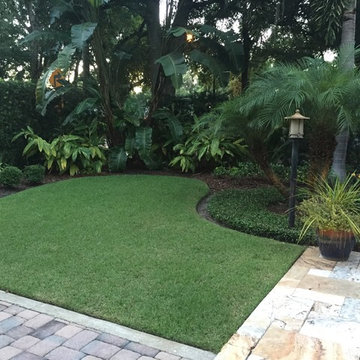 Transitional Landscape