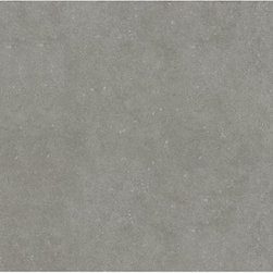 Mitte Gray Glazed Porcelain Floor Tile - Wall And Floor Tile