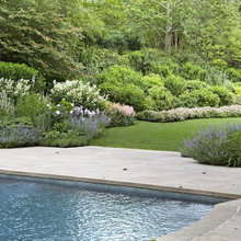 240 Maple Landscaping