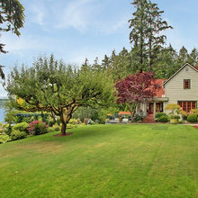old pine farm