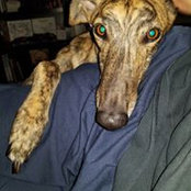 Kenneth Pricer's photo