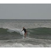 Alan Abrams's photo