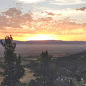 Carla McDowell's photo