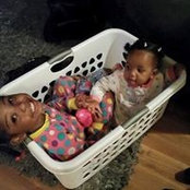 Tamika Reed's photo