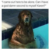 Karen Brown's photo