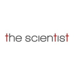 The Scientist Pte Ltd