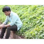 Kun Panya's photo