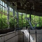 Mark Hahnel's photo
