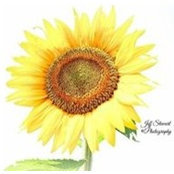 Beverly Caldwell's photo