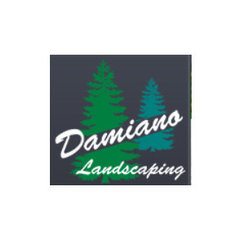Damiano Landscaping - Lawn Maintenance