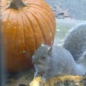 Maureen Gianinio's photo