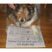 Anne Laughlin's photo