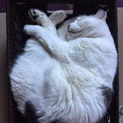 Foto de Jane Holt
