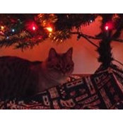 Danelle Maxwell's photo