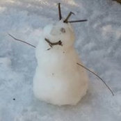 Rosetta Gallo's photo