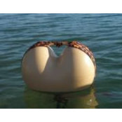 Photo de Bodacious Buoys