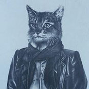 Piergiorgio Robino's photo