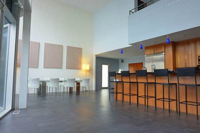 Inspiration for a contemporary dining room remodel in Chicago