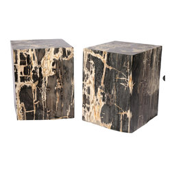 Petrified Wood Side Tables - Stool - Side Tables And End Tables