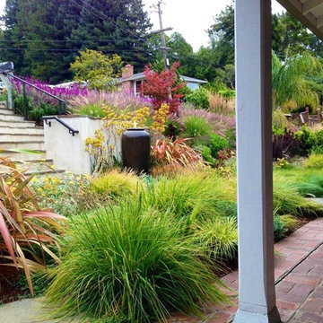 Sunken Garden