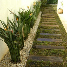 jardim