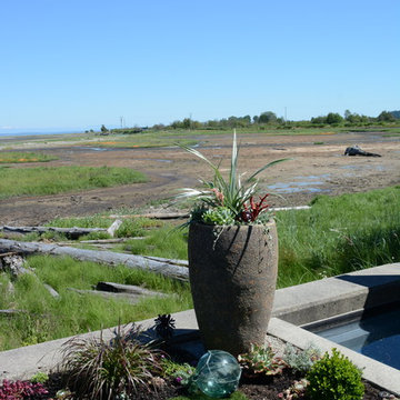 Contemporary Seaside Garden