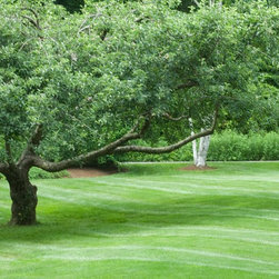 Overseeding - Products